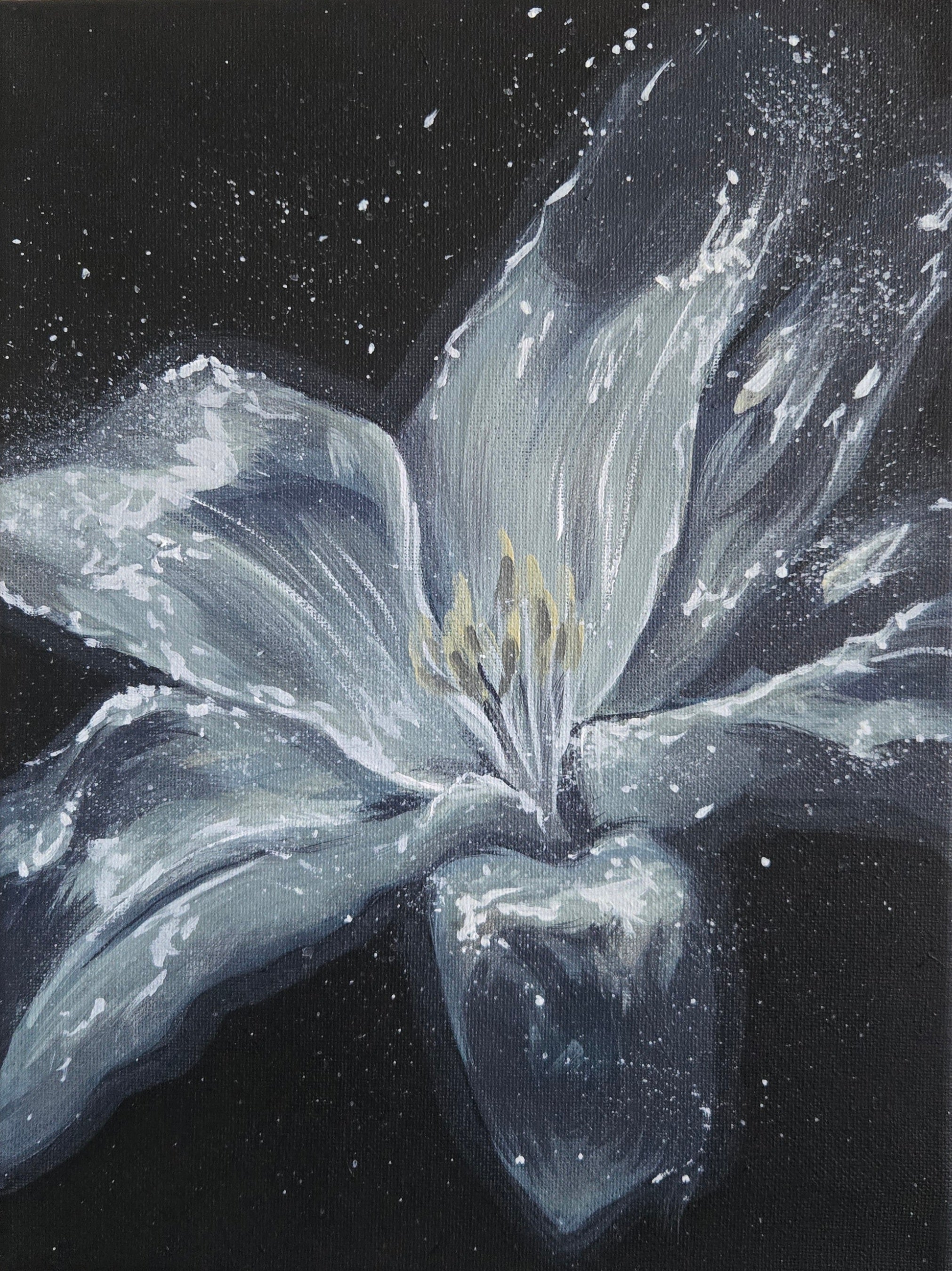 Tears of the Lily ~ Prints